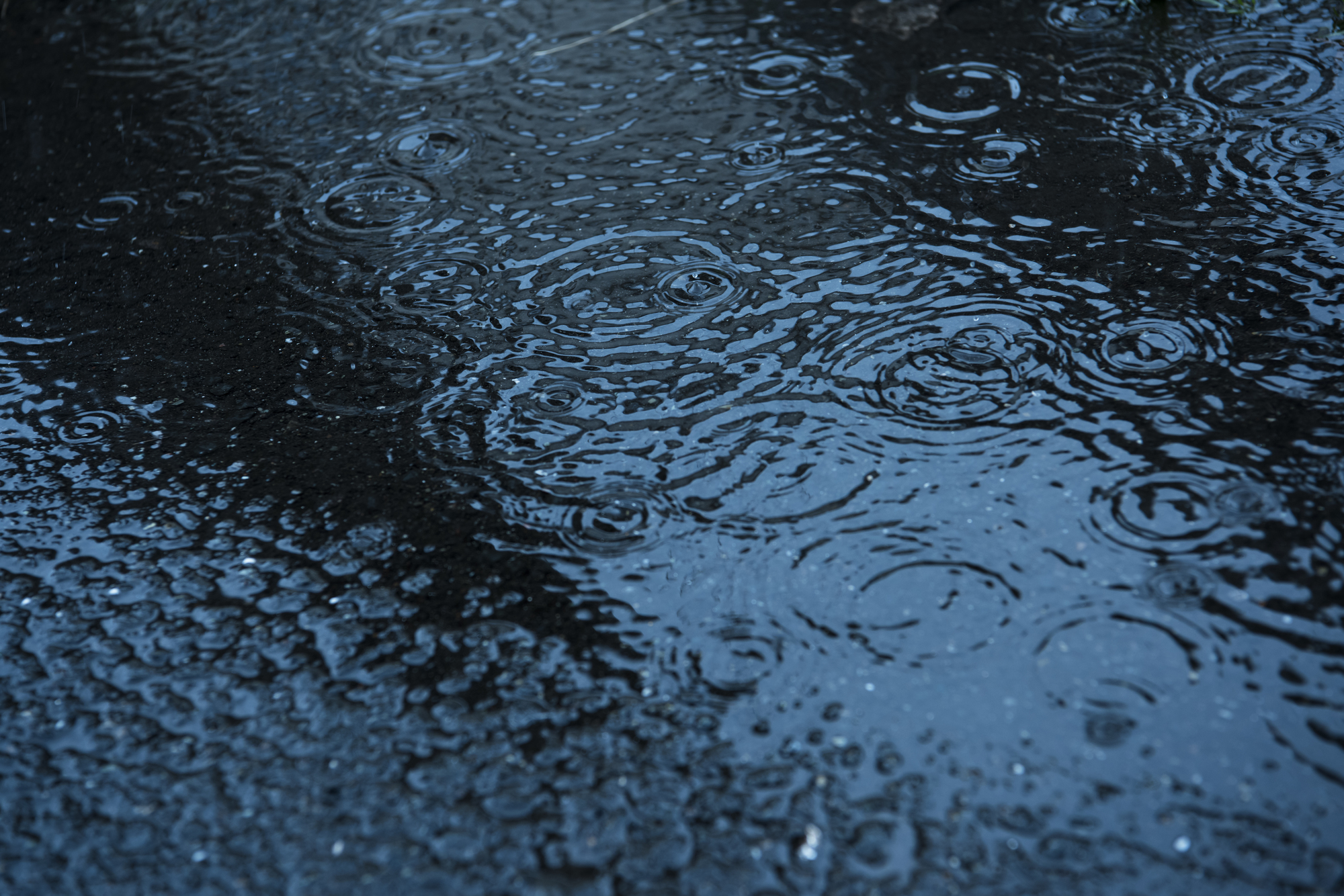 まもなく梅雨入り コロナ禍で迎える梅雨を快適に過ごす3つの方法